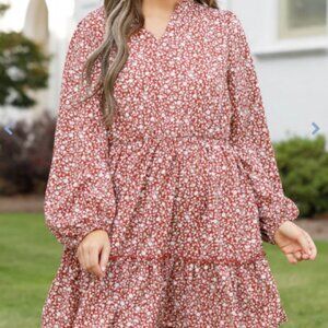 Chic Soul Worth A Thousand Words Dress, Rust